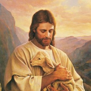 Meet your Posher, Harrison